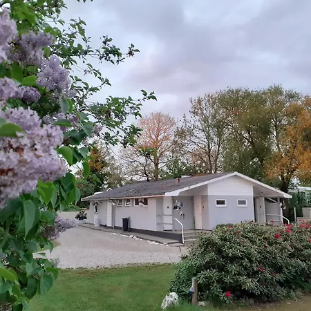 Kongsore Camping, Sma Og Store