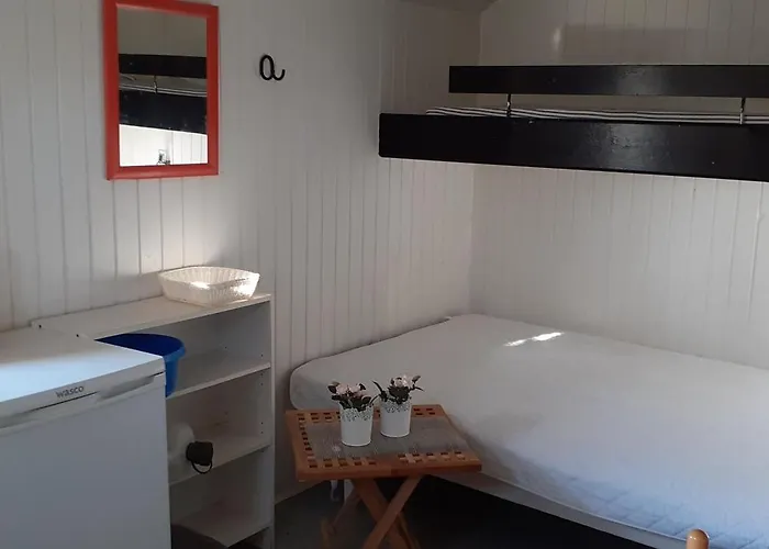 Camping Kongsore Camping, Sma Og Store Vig
