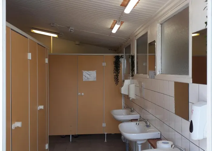 Kongsore Camping, Sma Og Store *